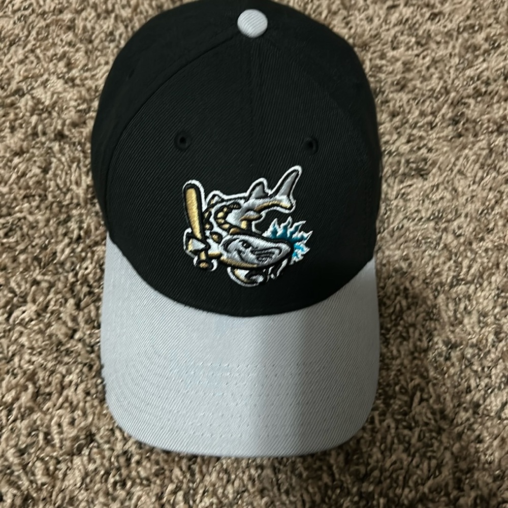 Grand Rapids Dam breakers baseball hat